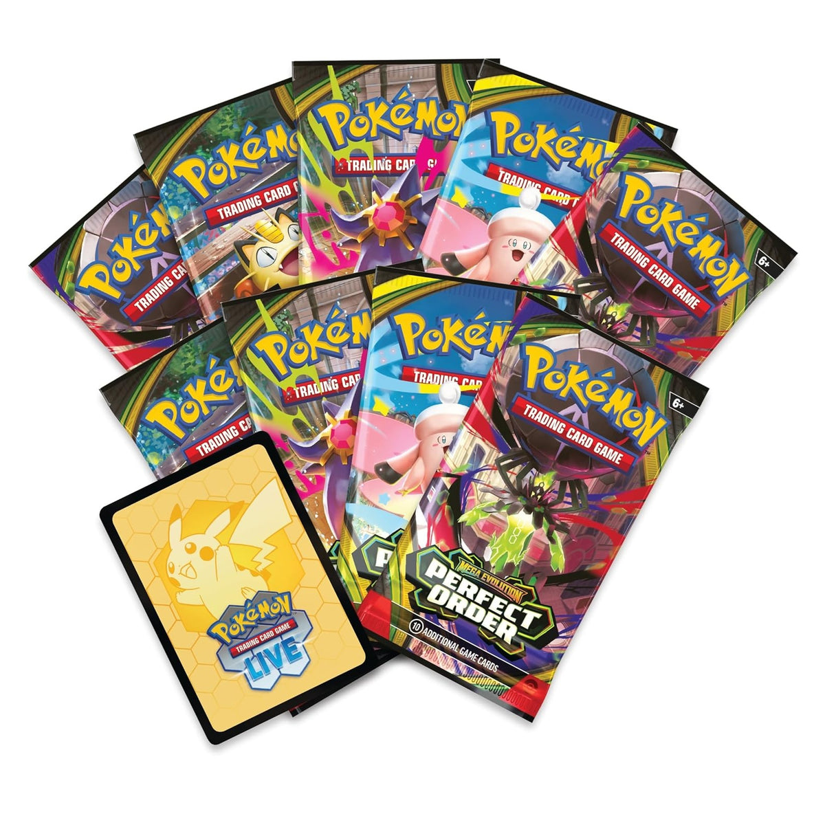 Perfect Order Elite Trainer Box-4