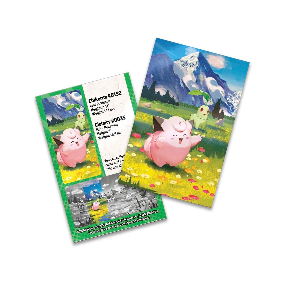 Ascended Heroes Mini Tin - Clefairy & Chikorita-5