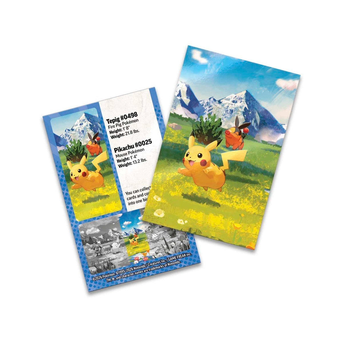 Ascended Heroes Mini Tin - Pikachu & Tepig-5