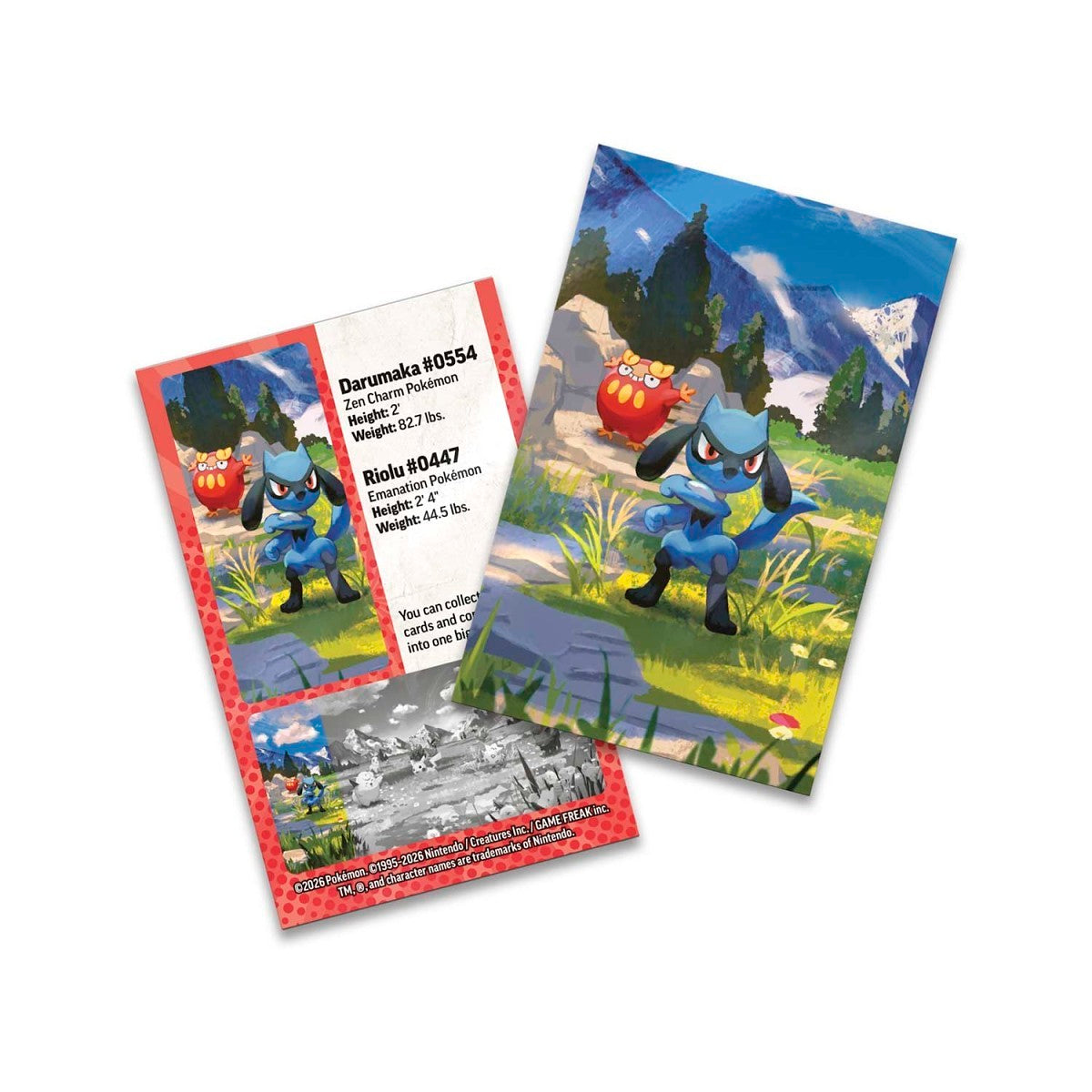 Ascended Heroes Mini Tin - Riolu & Darumaka-5