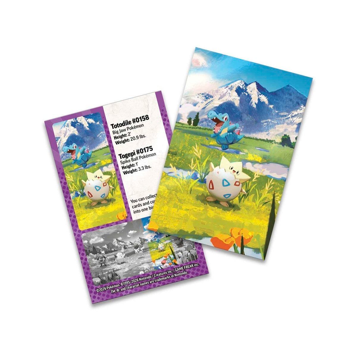 Ascended Heroes Mini Tin - Togepi & Totodile-5