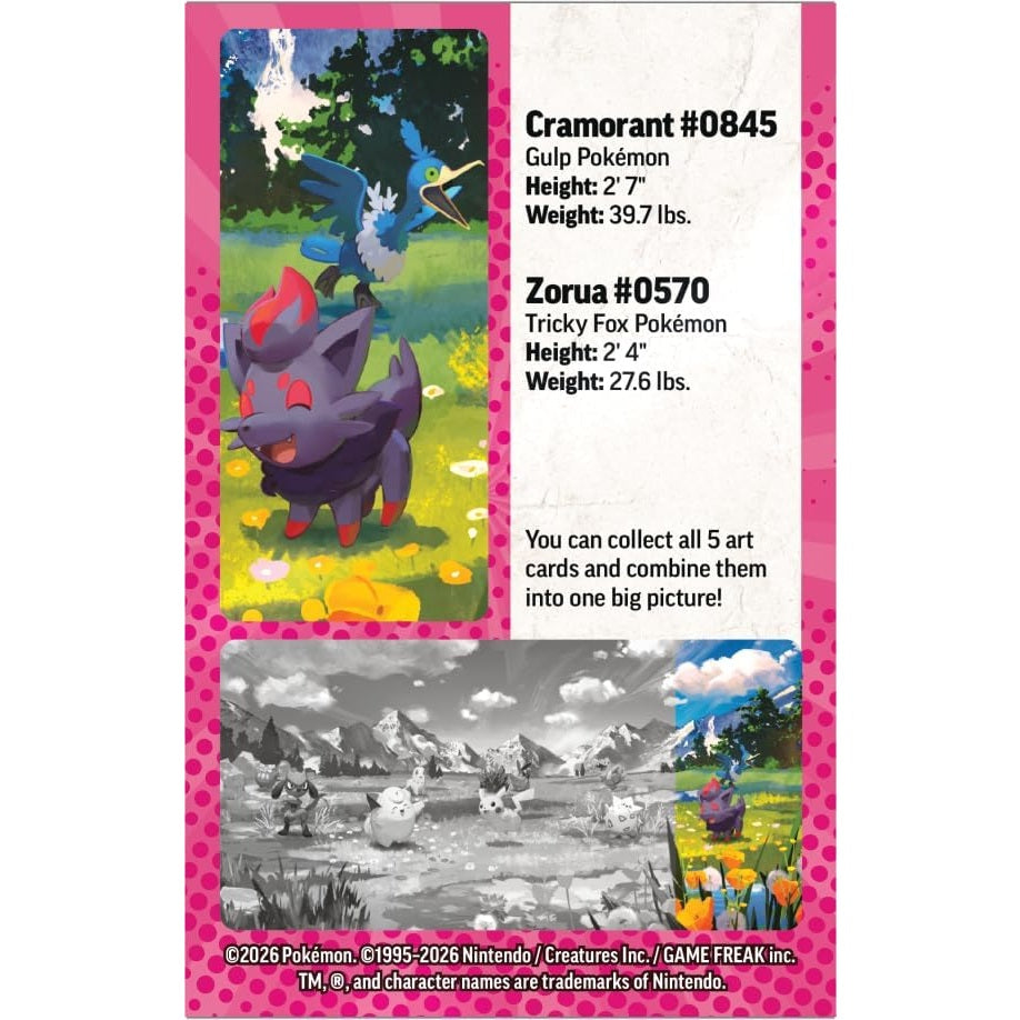 Ascended Heroes Mini Tin - Zorua & Cramorant-4