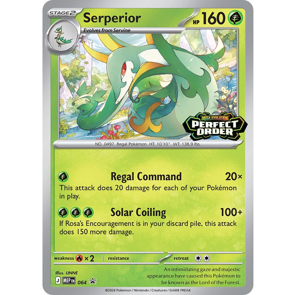 Perfect Order Build & Battle Box-3