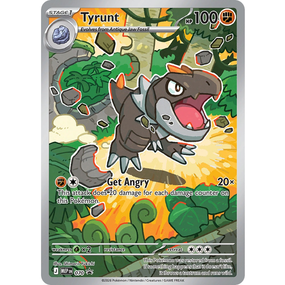 Perfect Order Elite Trainer Box-3